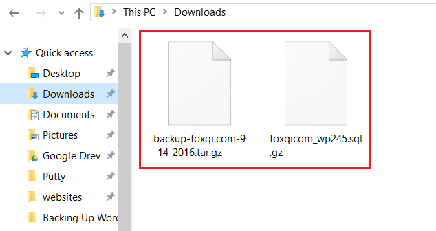Downloaded /home directory and database files