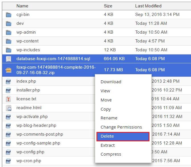 Deleting the .sql and zip files