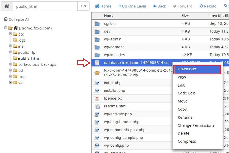 Downloading the database SQL file