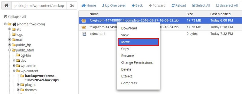 Moving the backup file