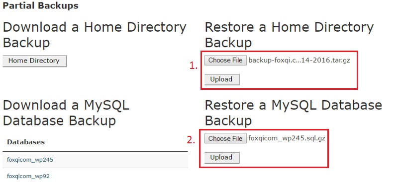 Uploading files via cPanel Backup application