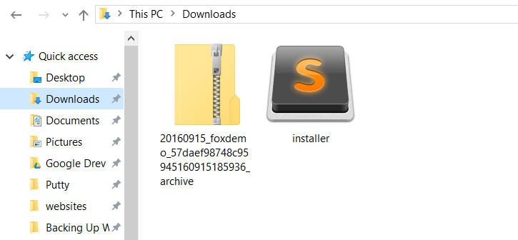 Downloaded Duplicator package