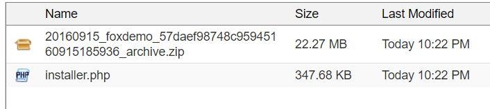 Duplicator package files ready in the public_html directory