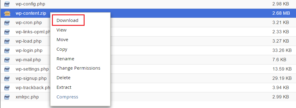 Downloading the compressed wp-content zip folder