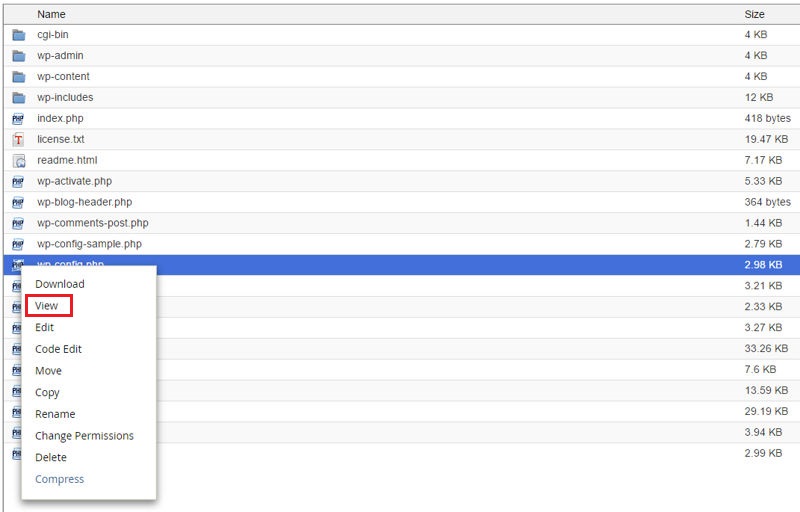 Viewing contents of wp-config.php file