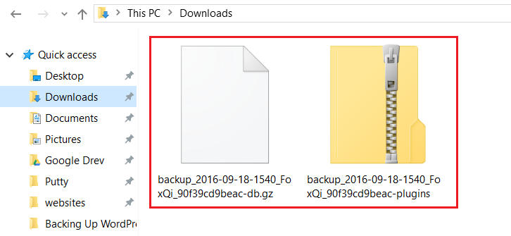 Successfully downloaded backup files