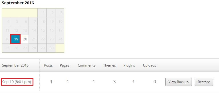 Selected date from calendar