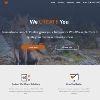 Alynt featured website portfolio image